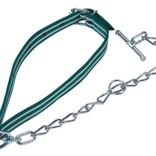 Ogrlica za telad s lancem