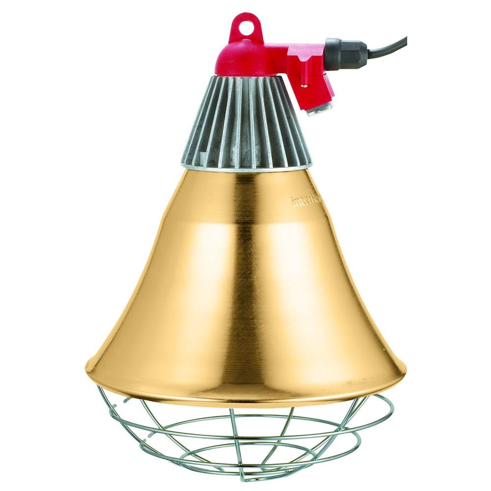 Držač za sijalicu Držač za sijalicu