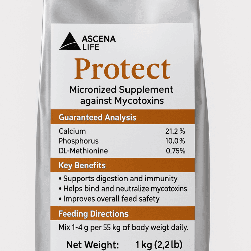 E9C20038 33B9 45EB AD26 B688D94417EC