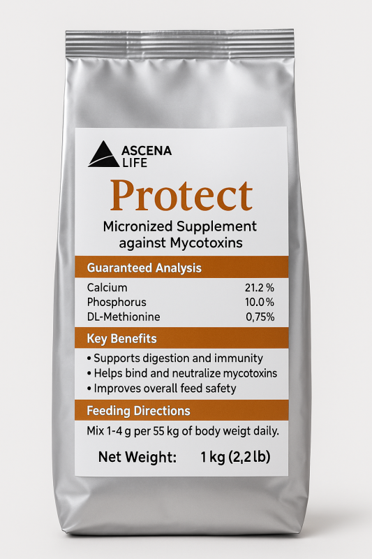 E9C20038 33B9 45EB AD26 B688D94417EC