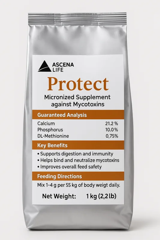 E9C20038 33B9 45EB AD26 B688D94417EC