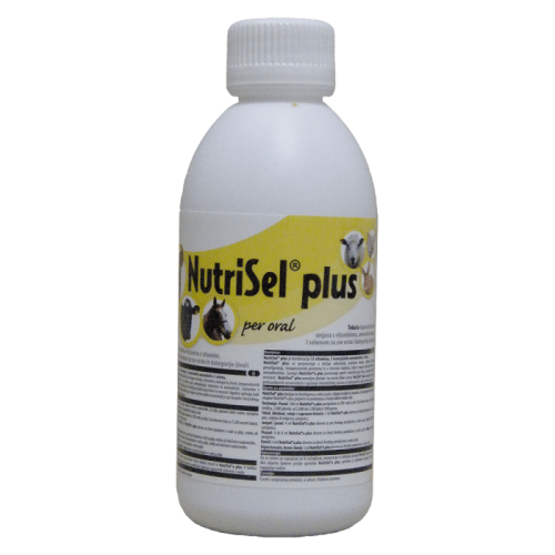 Nutrisel 250ml 1000x700