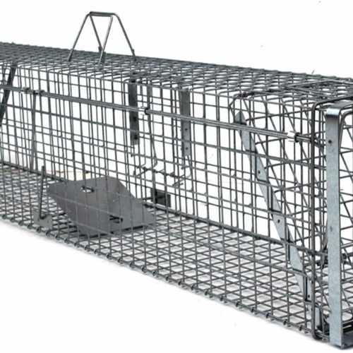 Zamka velika za lisice pse i čagljeve