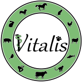 vitalis logo krug