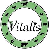 vitalis logo krug