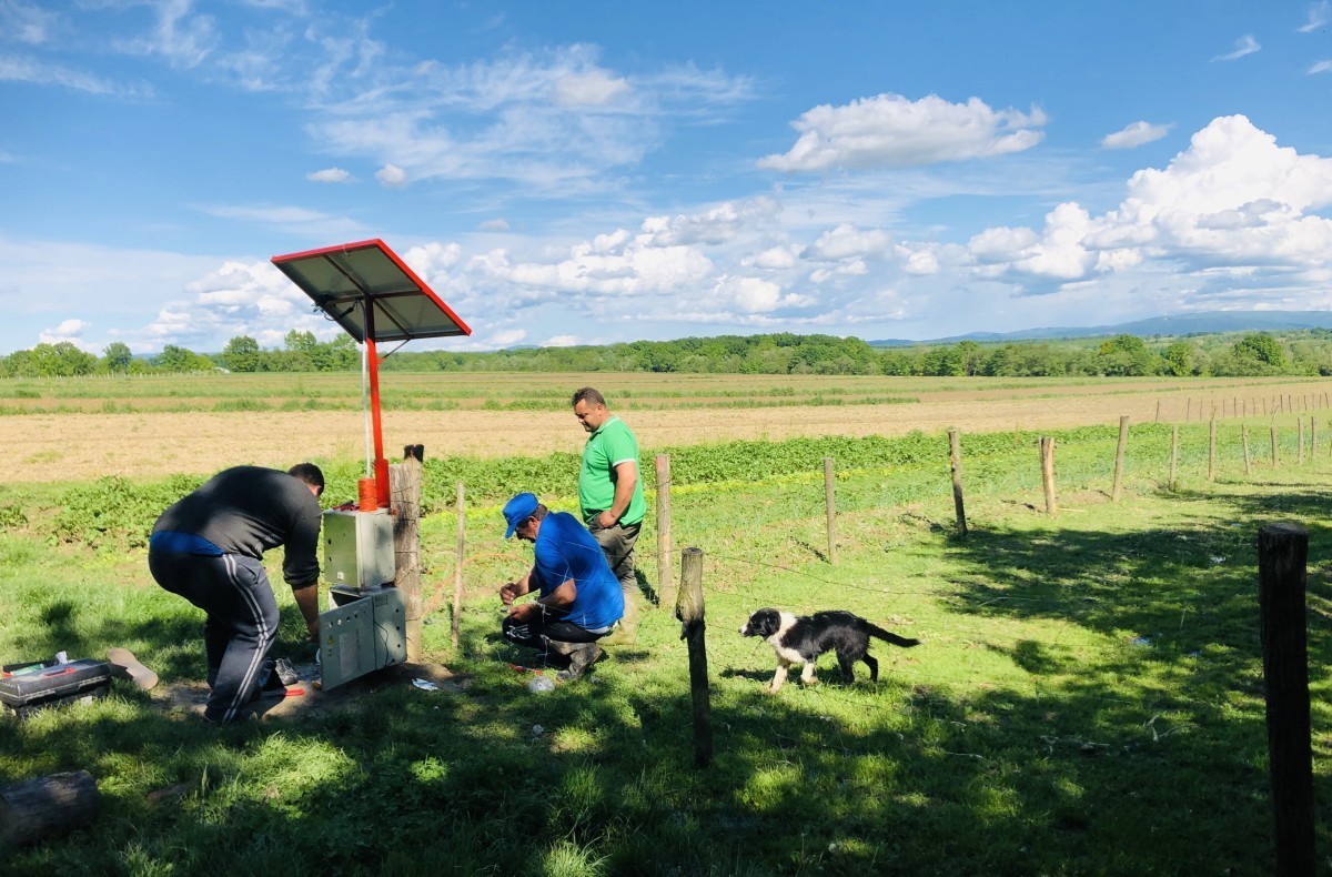 slika solarni elektricni pastir za tekst