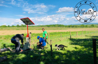 SOLARNI PASTIR KOMPLET SOLAR STAR sa zicom i izolatorima 3km.jpg