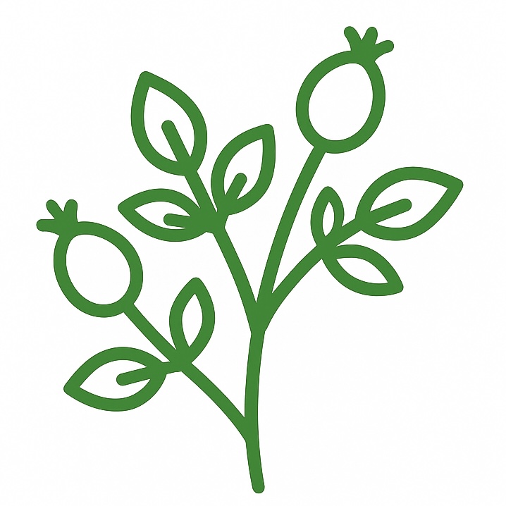 EA68FD57 B442 4015 B0CF 853C203A22E3