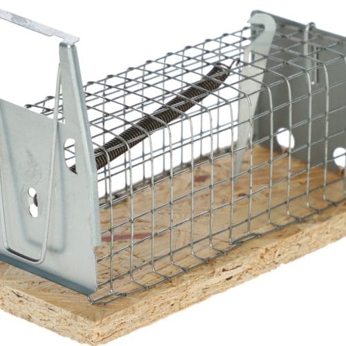 Zamka kavezna žičana za miševe
