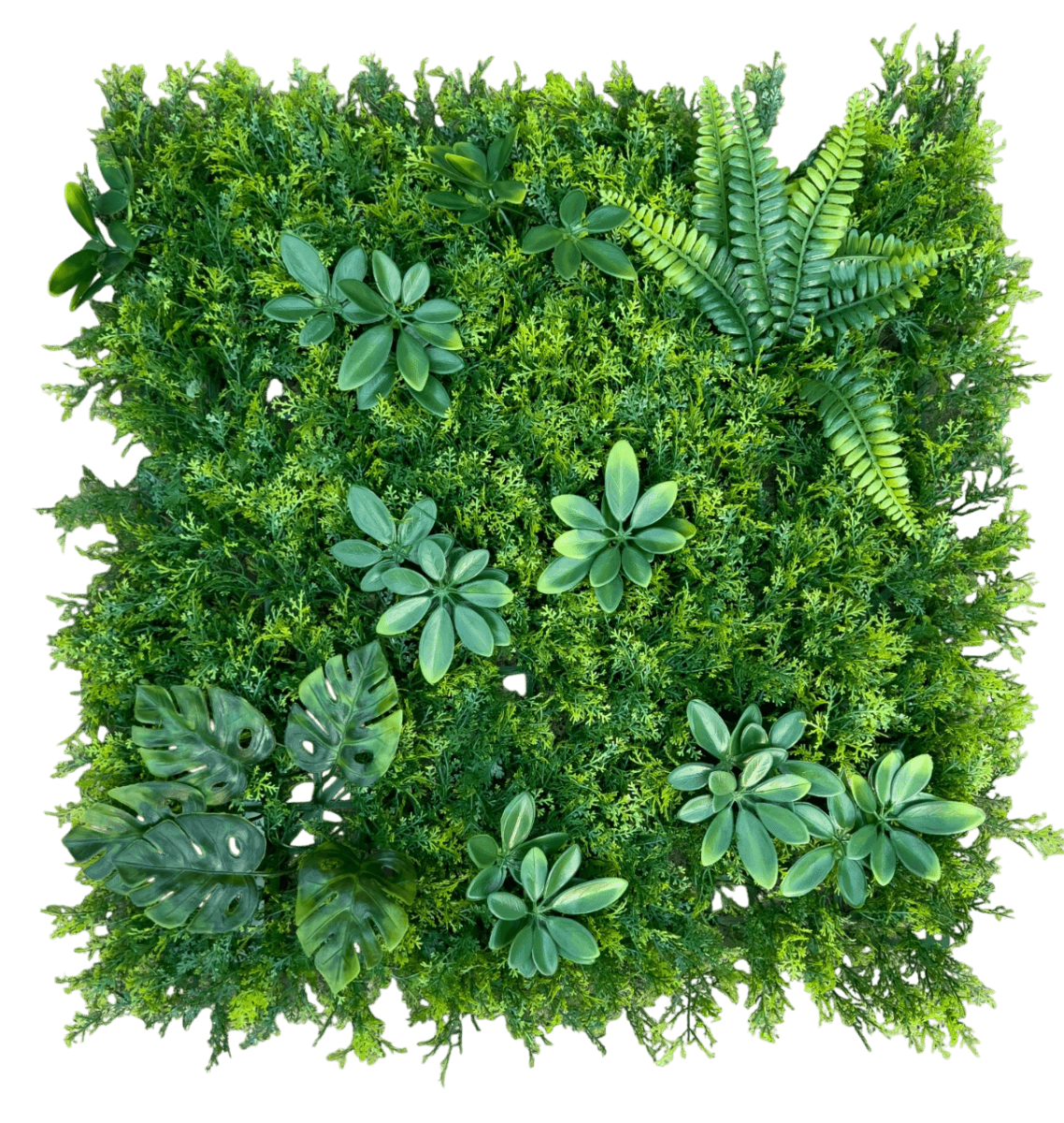 zeleni dekorativni panel plant wall 50x50cm model 16