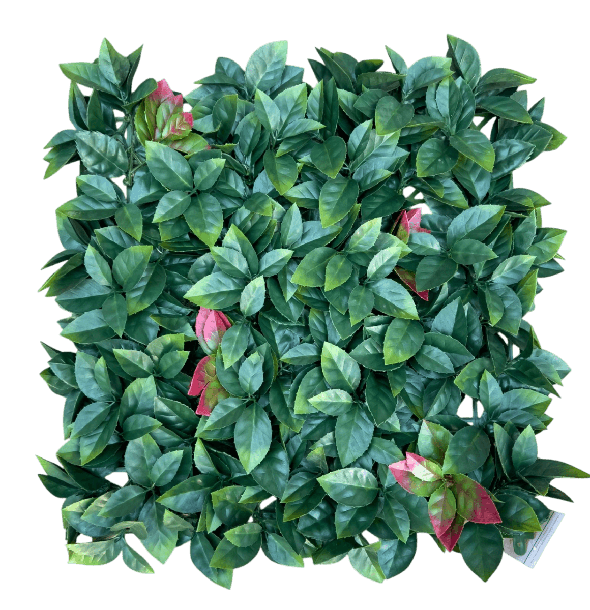 zeleni dekorativni panel plant wall 50x50cm model 18 slika